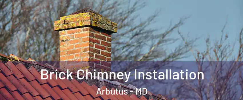  Brick Chimney Installation Arbutus - MD