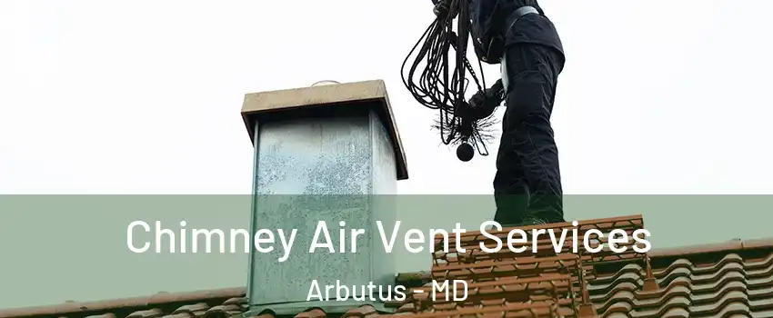  Chimney Air Vent Services Arbutus - MD