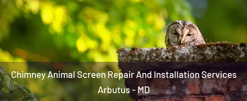  Chimney Animal Screen Repair And Installation Services Arbutus - MD