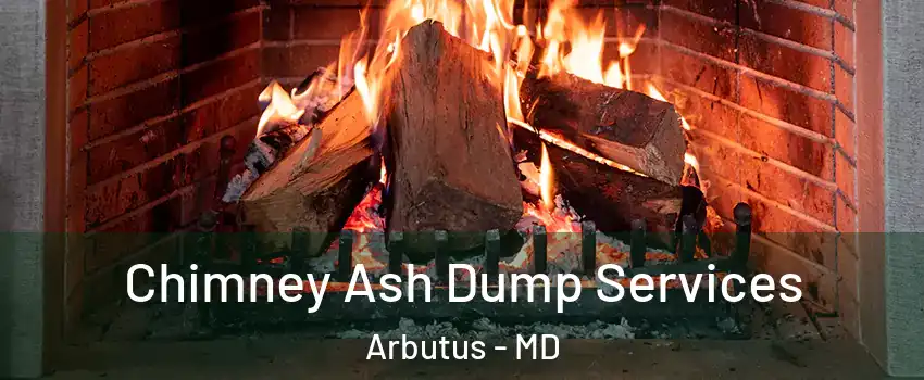  Chimney Ash Dump Services Arbutus - MD