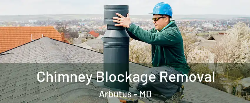  Chimney Blockage Removal Arbutus - MD