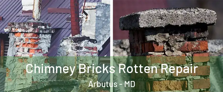  Chimney Bricks Rotten Repair Arbutus - MD