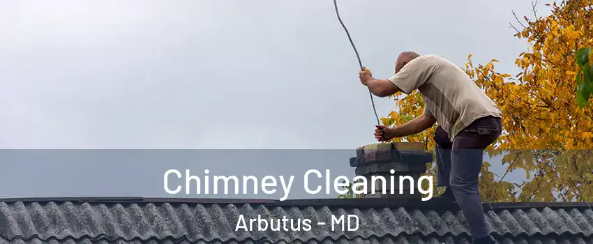  Chimney Cleaning Arbutus - MD