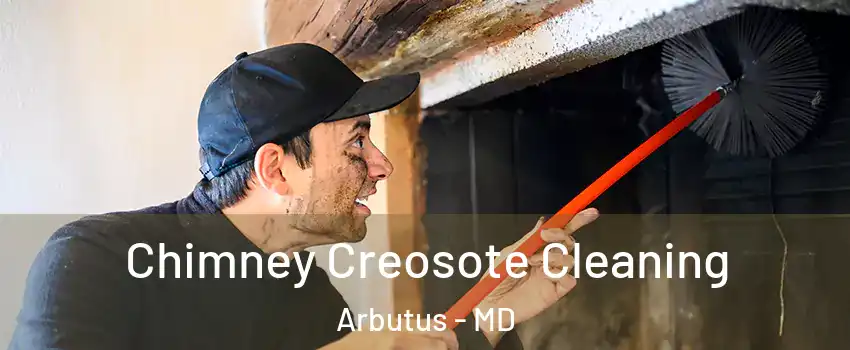 Chimney Creosote Cleaning Arbutus - MD