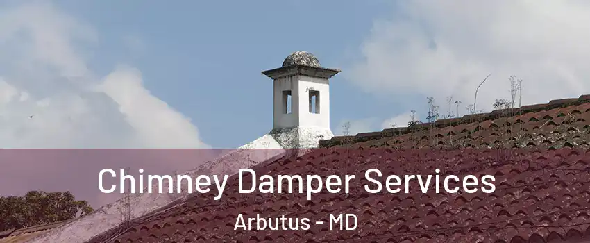  Chimney Damper Services Arbutus - MD
