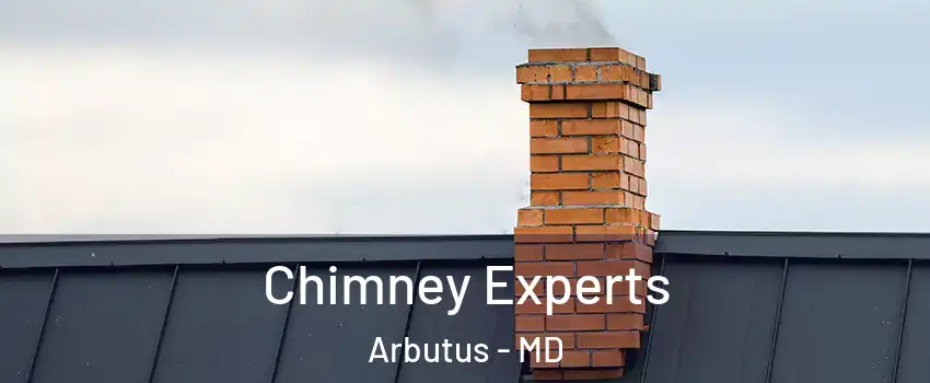 Chimney Experts Arbutus - MD