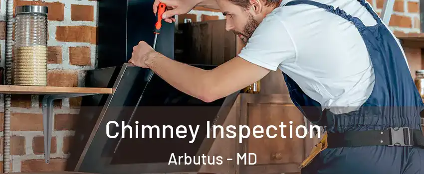  Chimney Inspection Arbutus - MD