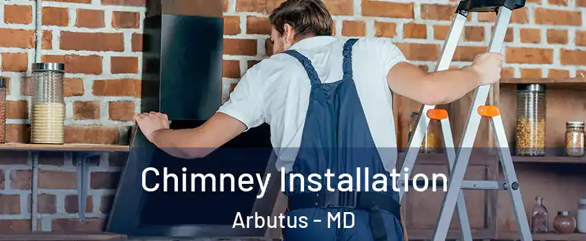  Chimney Installation Arbutus - MD