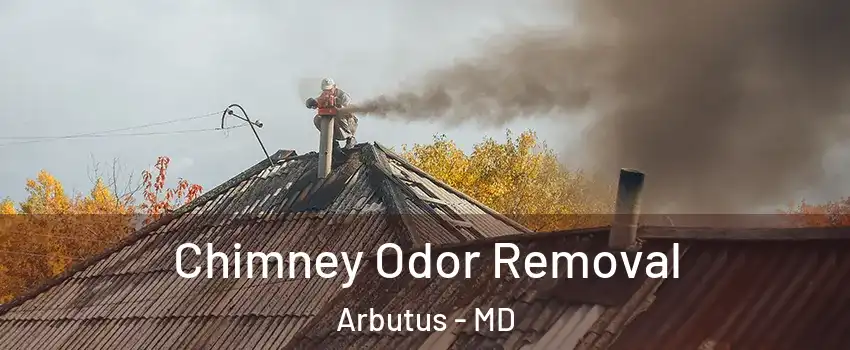  Chimney Odor Removal Arbutus - MD