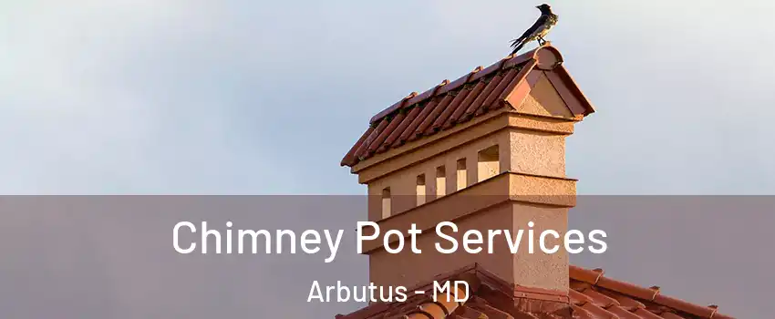  Chimney Pot Services Arbutus - MD