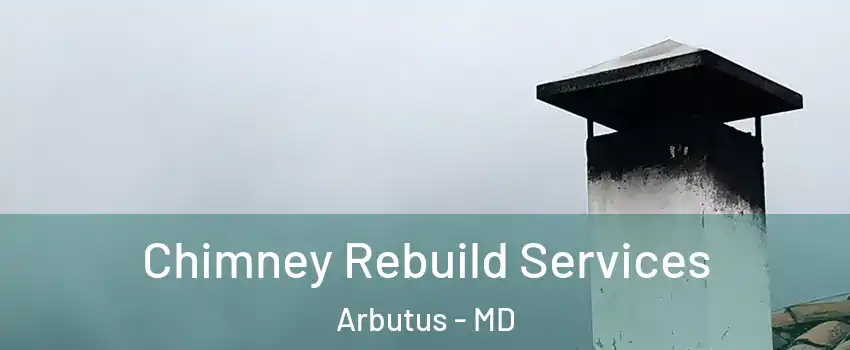  Chimney Rebuild Services Arbutus - MD