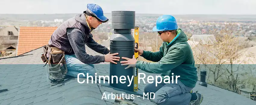  Chimney Repair Arbutus - MD