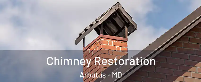  Chimney Restoration Arbutus - MD