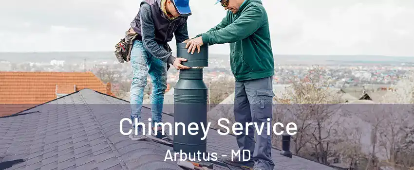  Chimney Service Arbutus - MD