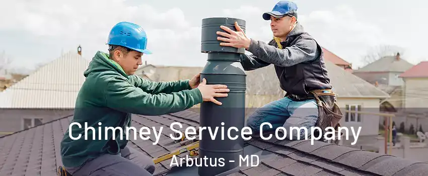 Chimney Service Company Arbutus - MD