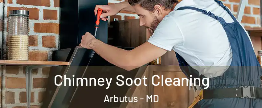  Chimney Soot Cleaning Arbutus - MD