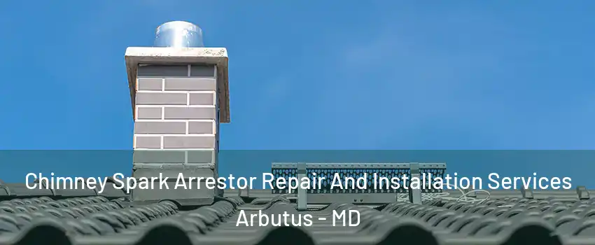  Chimney Spark Arrestor Repair And Installation Services Arbutus - MD