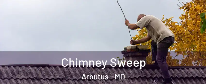  Chimney Sweep Arbutus - MD