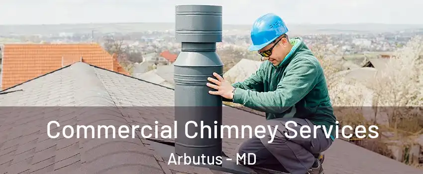  Commercial Chimney Services Arbutus - MD