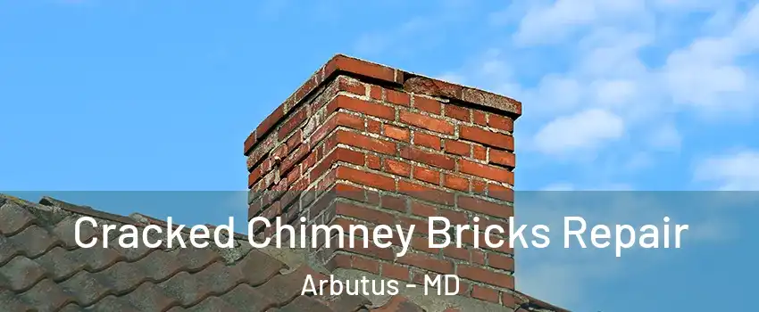  Cracked Chimney Bricks Repair Arbutus - MD