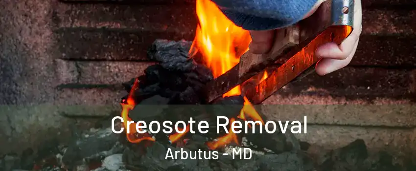  Creosote Removal Arbutus - MD