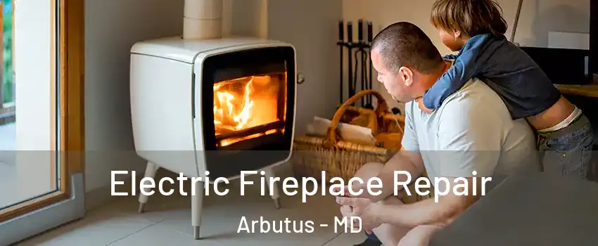  Electric Fireplace Repair Arbutus - MD
