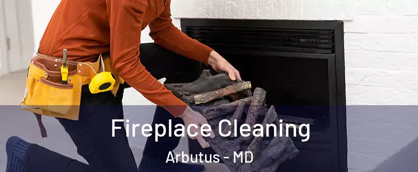  Fireplace Cleaning Arbutus - MD