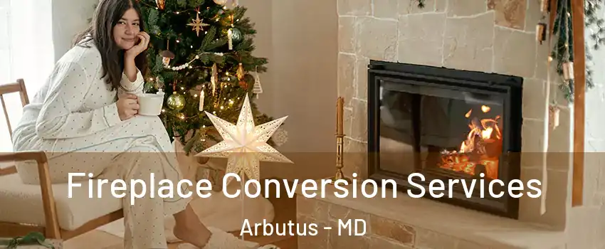  Fireplace Conversion Services Arbutus - MD