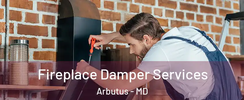  Fireplace Damper Services Arbutus - MD
