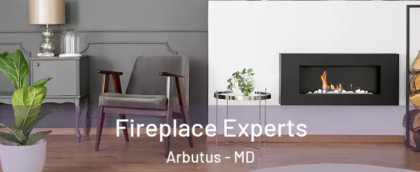  Fireplace Experts Arbutus - MD