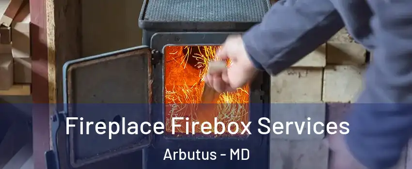  Fireplace Firebox Services Arbutus - MD
