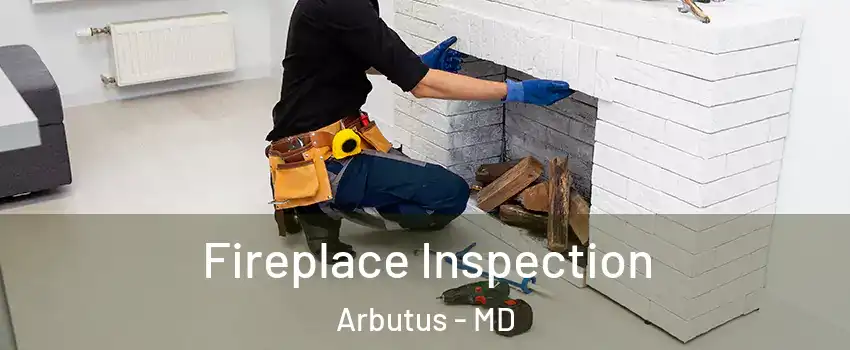  Fireplace Inspection Arbutus - MD