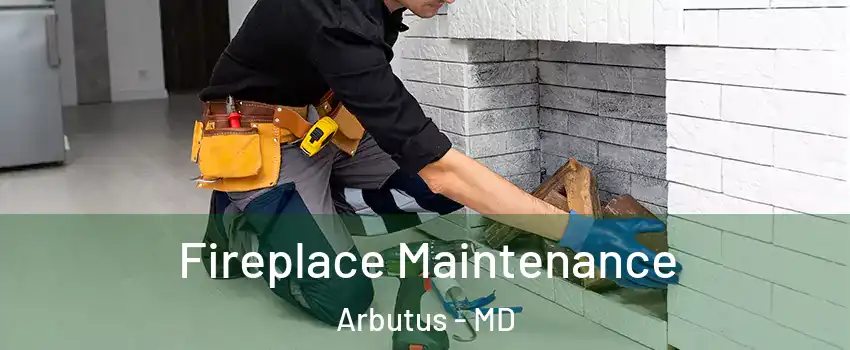  Fireplace Maintenance Arbutus - MD