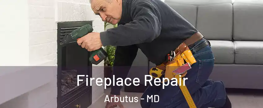  Fireplace Repair Arbutus - MD