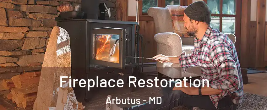  Fireplace Restoration Arbutus - MD