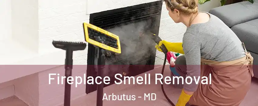  Fireplace Smell Removal Arbutus - MD