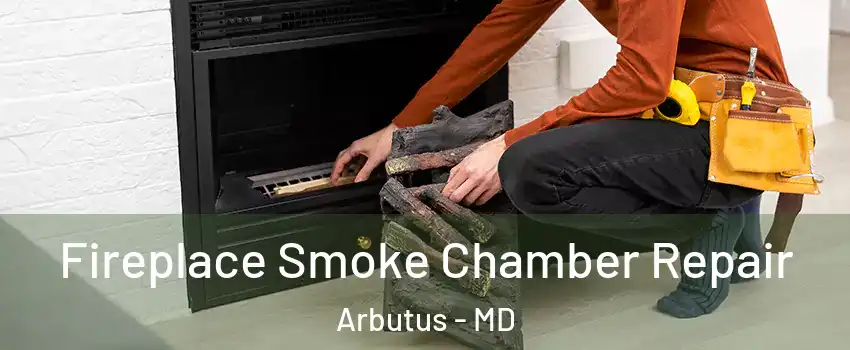  Fireplace Smoke Chamber Repair Arbutus - MD