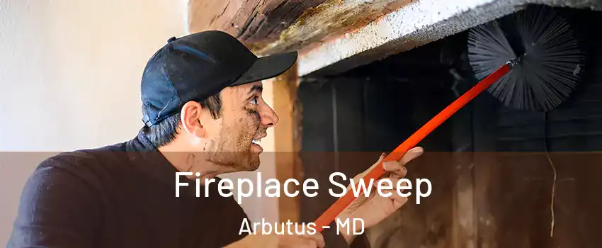  Fireplace Sweep Arbutus - MD