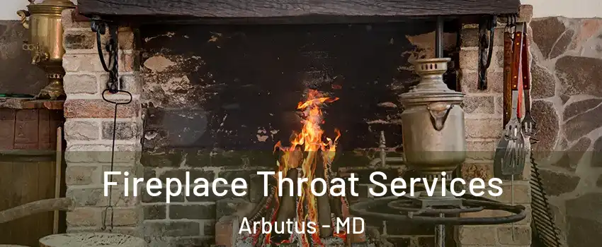  Fireplace Throat Services Arbutus - MD
