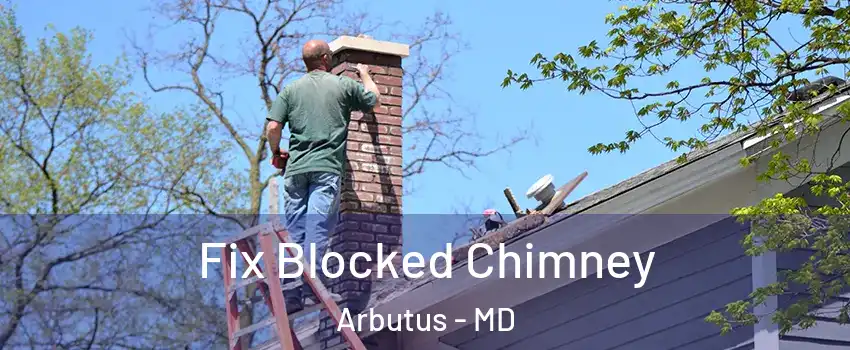  Fix Blocked Chimney Arbutus - MD