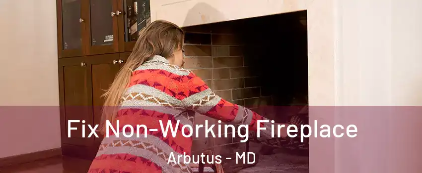  Fix Non-Working Fireplace Arbutus - MD