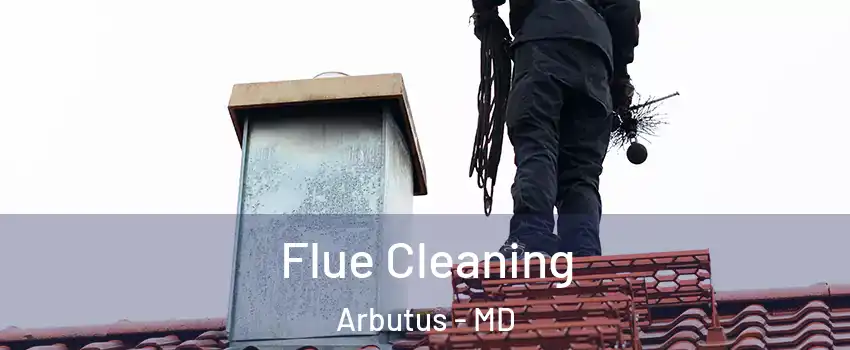  Flue Cleaning Arbutus - MD