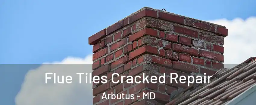  Flue Tiles Cracked Repair Arbutus - MD