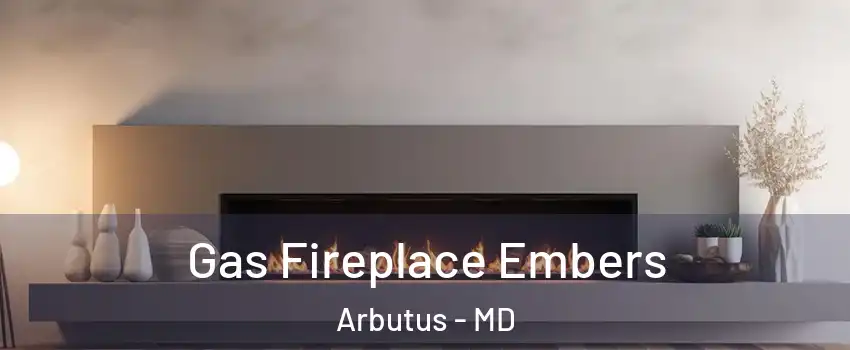  Gas Fireplace Embers Arbutus - MD