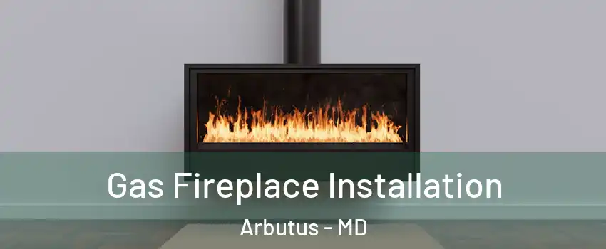  Gas Fireplace Installation Arbutus - MD