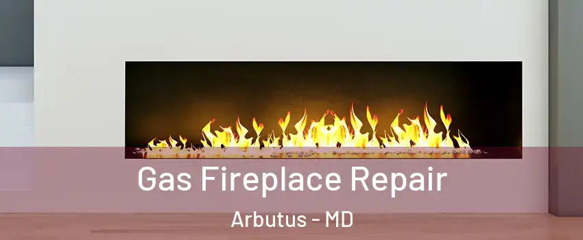 Gas Fireplace Repair Arbutus - MD