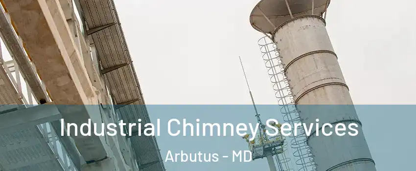  Industrial Chimney Services Arbutus - MD