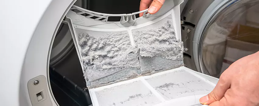 Best Dryer Lint Removal Company in Arbutus, Maryland