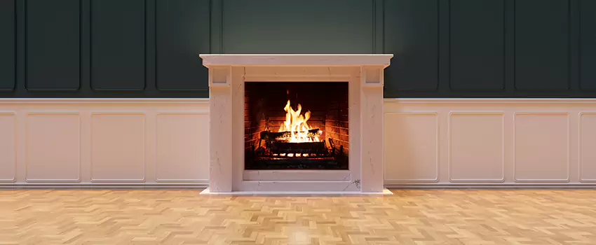 Napoleon Electric Fireplaces Inspection Service in Arbutus, Maryland