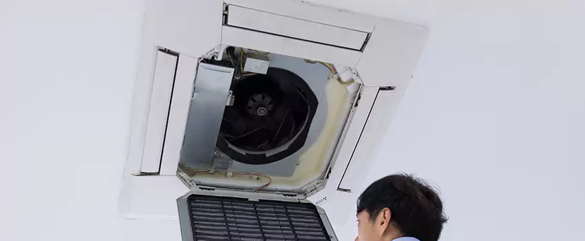Benefits of Professional Air Duct Cleaning in Arbutus, Maryland